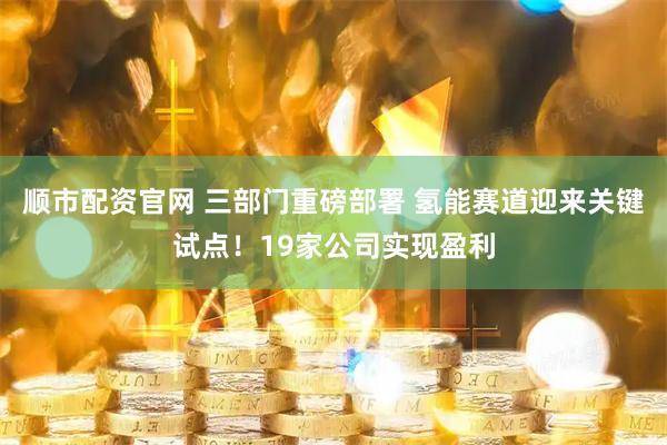 顺市配资官网 三部门重磅部署 氢能赛道迎来关键试点!19家公司实现盈利